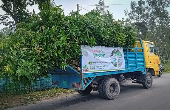 বৃক্ষরোপণ