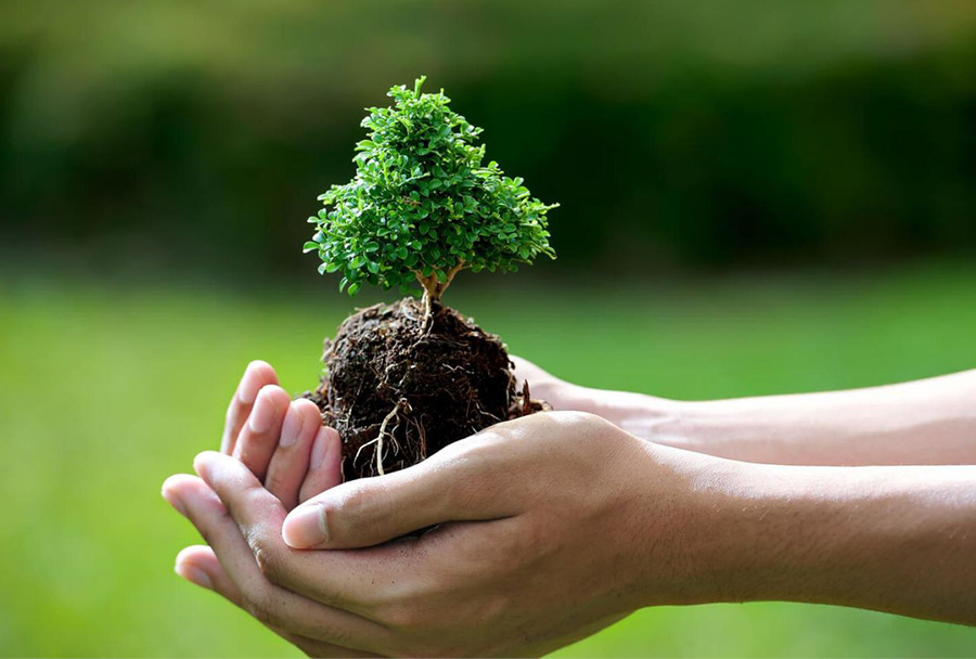 বৃক্ষরোপণ তহবিল